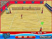 Click to Play Rule the Beach Volleyball