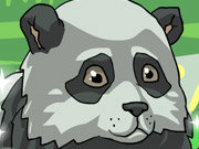 Click to Play Panda Cub