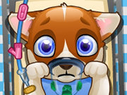 Click to Play Puppy Surgery