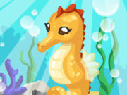 Click to Play Seahorse Care
